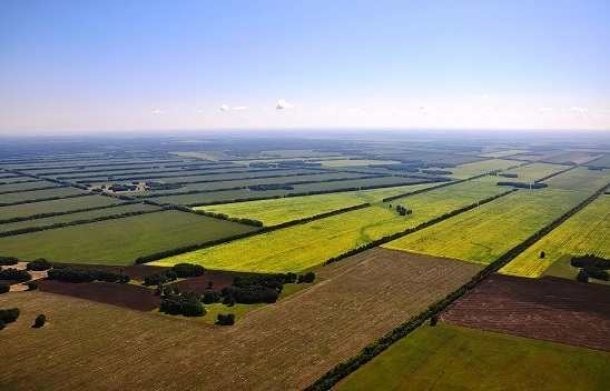 Кубанским фермерам помогут деньгами