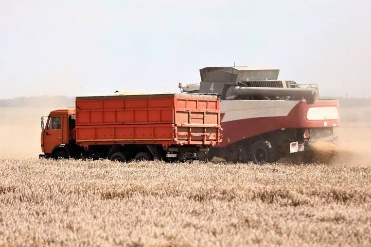 Формула успеха краснодарского АПК